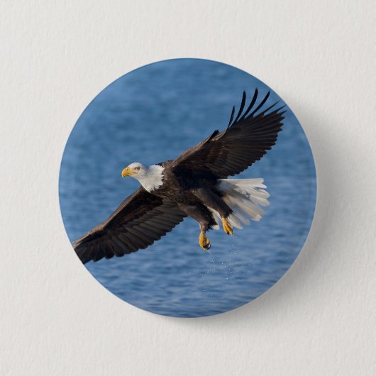 Bald eagle in flight ronde button 5,7 cm (Voorkant)