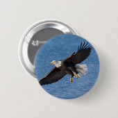 Bald eagle in flight ronde button 5,7 cm (Voorkant /achterkant)