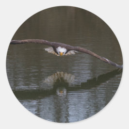 Bald Eagle in Flight Ronde Sticker