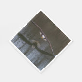 Bald Eagle in Flight Servet (Hoek)