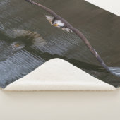 Bald Eagle in Flight Sherpa Blanket Deken (3/4)