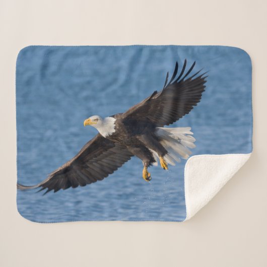 Bald eagle in flight sherpa deken (Voorkant (horizontaal))