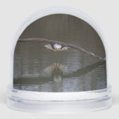 Bald Eagle in Flight Sneeuwbol (Voorkant)