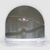 Bald Eagle in Flight Sneeuwbol (Achterkant)