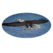 Bald eagle in flight snijplank (Hoek)