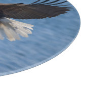 Bald eagle in flight snijplank (Hoek)