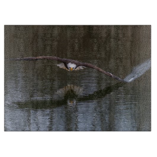 Bald Eagle in Flight Snijplank (Voorkant)