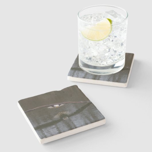 Bald Eagle in Flight Stenen Onderzetter (Zijkant)