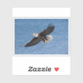 Bald eagle in flight sticker (Vel)