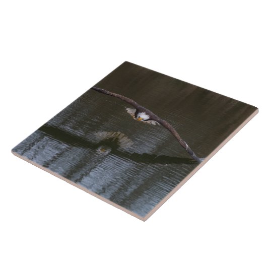 Bald Eagle in Flight Tegeltje (Zijkant)