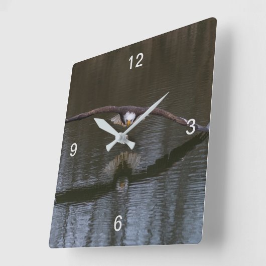 Bald Eagle in Flight Vierkante Klok (Hoek)