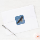 Bald eagle in flight vierkante sticker (Envelop)