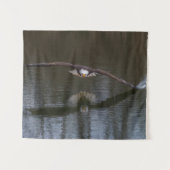 Bald Eagle in Flight Wandkleed (Voorkant (horizontaal))