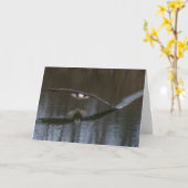 Bald Eagle in Flight Wenskaart Kaart (Gele Bloem)