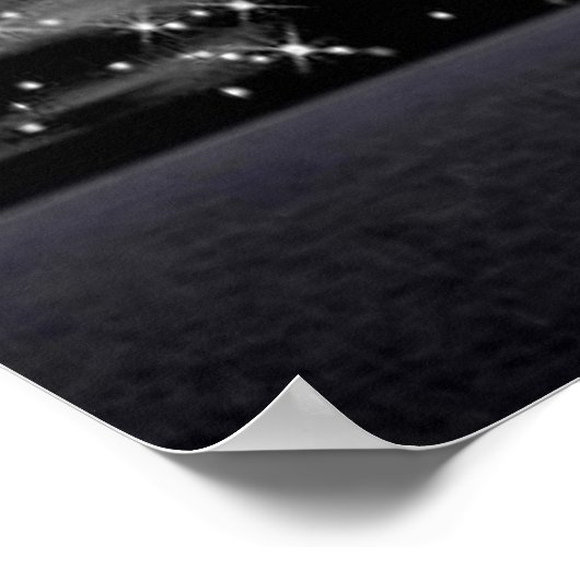 Bald Eagle in het Star-poster Poster (Hoek)