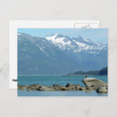 Bald Eagle in Skagway Alaska Briefkaart (Voorkant / Achterkant)