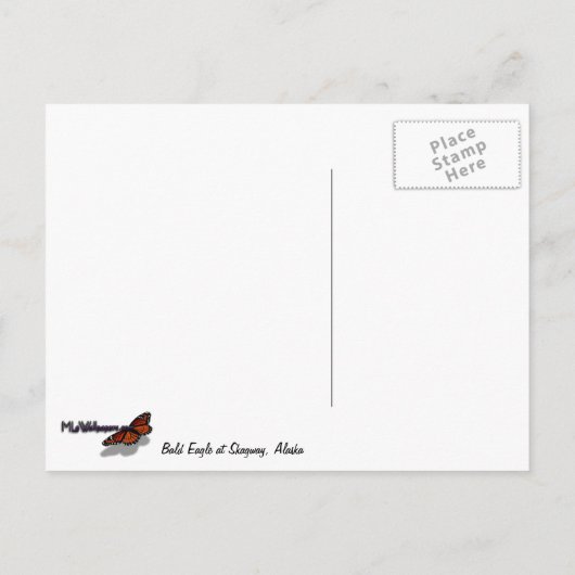 Bald Eagle in Skagway Alaska Briefkaart (Achterkant)
