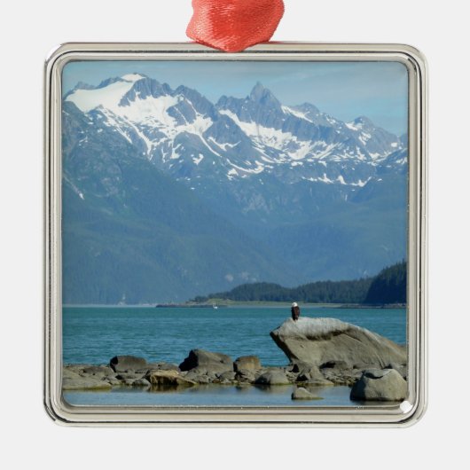 Bald Eagle in Skagway Alaska Metalen Ornament (Voorkant)