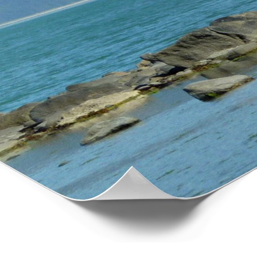 Bald Eagle in Skagway Alaska Poster (Hoek)