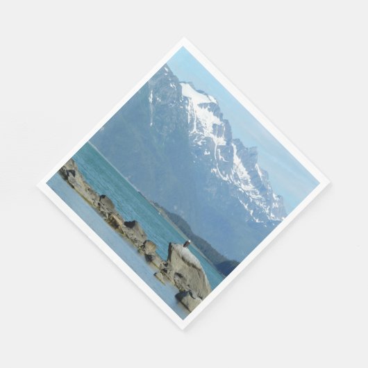 Bald Eagle in Skagway Alaska Servet (Hoek)