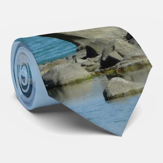 Bald Eagle in Skagway Alaska Stropdas (Opgerold)