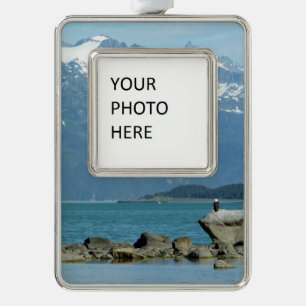 Bald Eagle in Skagway Alaska Verzilverd Omlijst Ornament