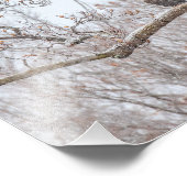 Bald Eagle in sneeuw Foto Afdruk (Hoek)