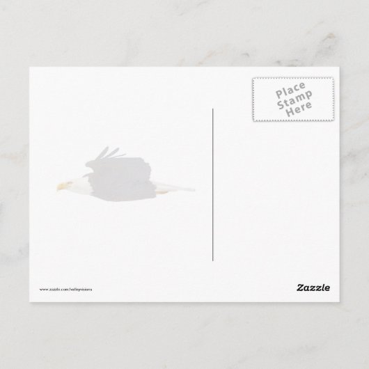Bald Eagle in Tulp Tree Briefkaart (Achterkant)