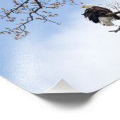 Bald Eagle in Tulp Tree Foto Afdruk (Hoek)