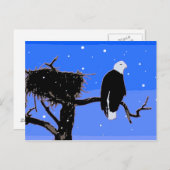 Bald Eagle in Winter - Originele Wilde Kunst Briefkaart (Voorkant / Achterkant)
