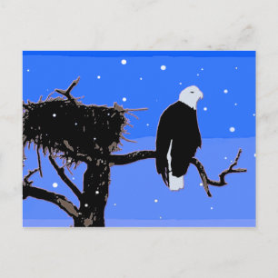 Bald Eagle in Winter - Originele Wilde Kunst Briefkaart