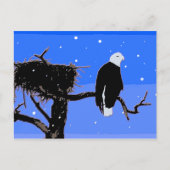 Bald Eagle in Winter - Originele Wilde Kunst Briefkaart (Voorkant)