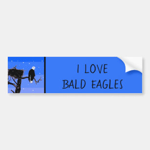 Bald Eagle in Winter - Originele Wilde Kunst Bumpersticker