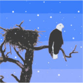 Bald Eagle in Winter - Originele Wilde Kunst Sticker (Voorkant)
