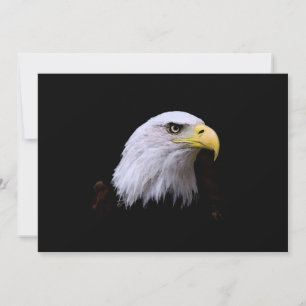 Bald Eagle Invitation Kaart