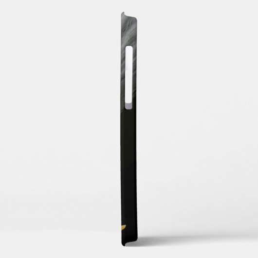 Bald Eagle iphcna Case-Mate iPhone Case (Achterkant / Links)