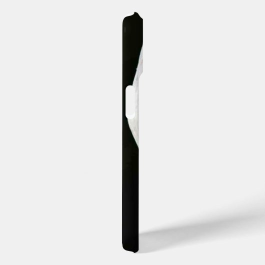 Bald Eagle iphcna Case-Mate iPhone Case (Achterkant / Rechts)