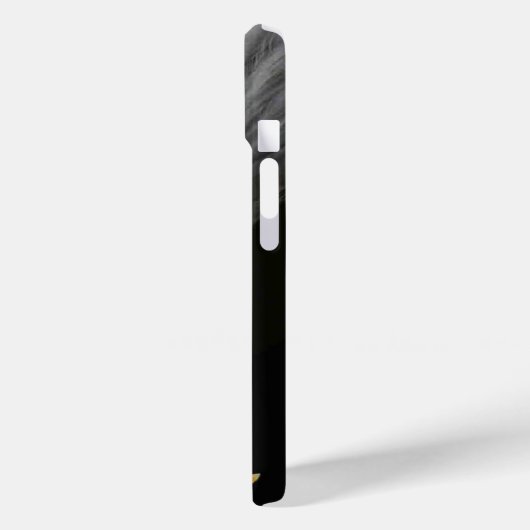 Bald Eagle iphcna Case-Mate iPhone Case (Achterkant / Links)