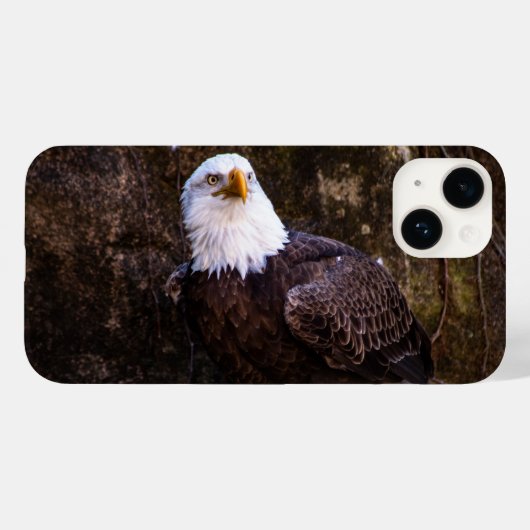 Bald Eagle iPhone 14 Hoesje (Achterkant (horizontaal))