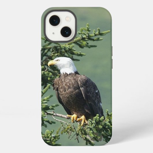 Bald Eagle iPhone Hoesje (Achterkant)