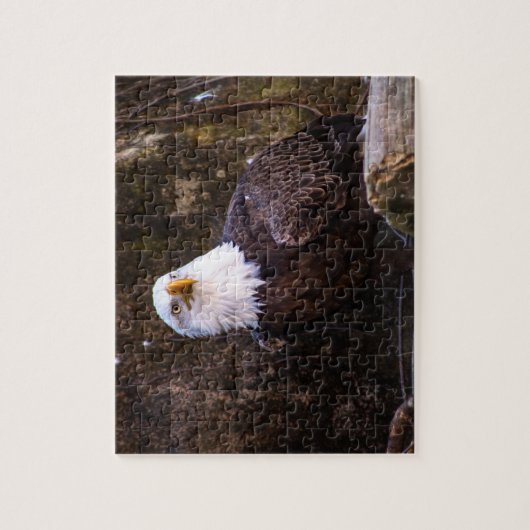 Bald Eagle Jigzaag Puzzle Legpuzzel (Verticaal)