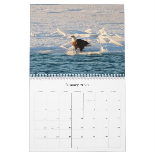 Bald Eagle Kalender (Jan 2026)