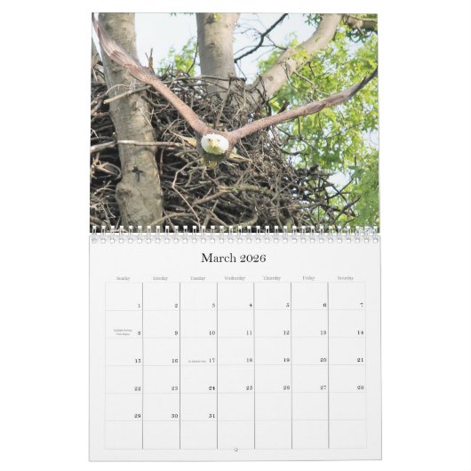 Bald Eagle Kalender (Mar 2026)