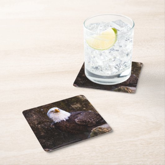 Bald Eagle Kartonnen Onderzetters (Insitu)