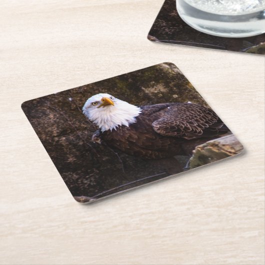 Bald Eagle Kartonnen Onderzetters (Schuin)