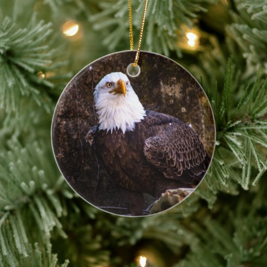 Bald Eagle Keramisch Ornament (Boom)