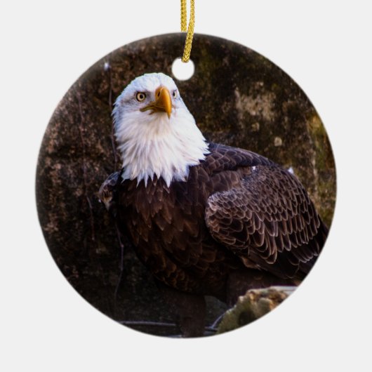 Bald Eagle Keramisch Ornament (Voorkant)