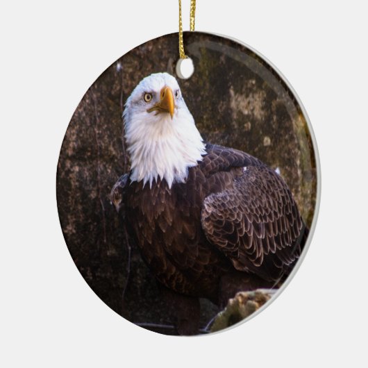 Bald Eagle Keramisch Ornament (Links)