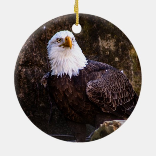 Bald Eagle Keramisch Ornament (Achterkant)