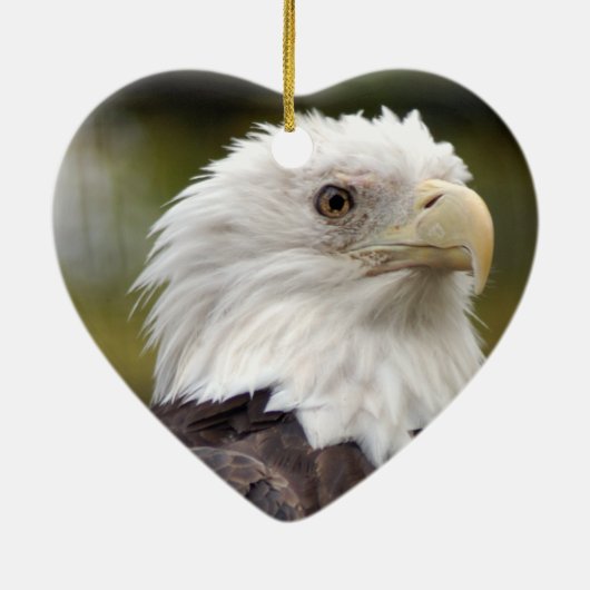 Bald Eagle kerstversiering Keramisch Ornament (Achterkant)